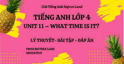 TIẾNG ANH LỚP 4 - UNIT 11 - WHAT TIME IS IT? - LÝ THUYẾT - BÀI TẬP - ĐÁP ÁN