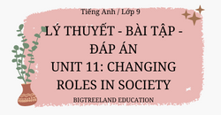TIẾNG ANH LỚP 9 - UNIT 11: CHANGING ROLES IN SOCIETY - LÝ THUYẾT - BÀI TẬP - ĐÁP ÁN