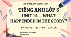 TIẾNG ANH LỚP 5 - UNIT 14 - WHAT HAPPENDED IN THE STORY? - LÝ THUYẾT - BÀI TẬP - ĐÁP ÁN