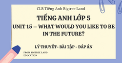 TIẾNG ANH LỚP 5 - UNIT 15 - WHAT WOULD YOU LIKE TO BE IN THE FUTURE? - LÝ THUYẾT - BÀI TẬP - ĐÁP ÁN