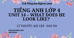 TIẾNG ANH LỚP 4 - UNIT 14 - WHAT DOES HE LOOK LIKE? - LÝ THUYẾT - BÀI TẬP - ĐÁP ÁN
