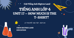 TIẾNG ANH LỚP 4 - UNIT 17 - HOW MUCH IS THE T-SHIRT? - LÝ THUYẾT - BÀI TẬP - ĐÁP ÁN
