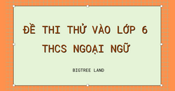 ĐỀ THI THỬ VÀO LỚP 6- THCS NGOẠI NGỮ- MÔN TIẾNG ANH- KỲ THI TRƯỜNG TỔ CHỨC 06-03-2022