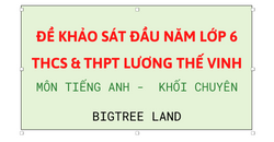 ĐỀ KHẢO SÁT ĐẦU NĂM – THCS & THPT LƯƠNG THẾ VINH MÔN TIẾNG ANH 6 – KHỐI CHUYÊN