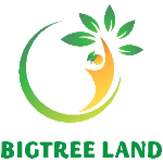 Đề ôn thi Toefl Primary - Test 1- Listening